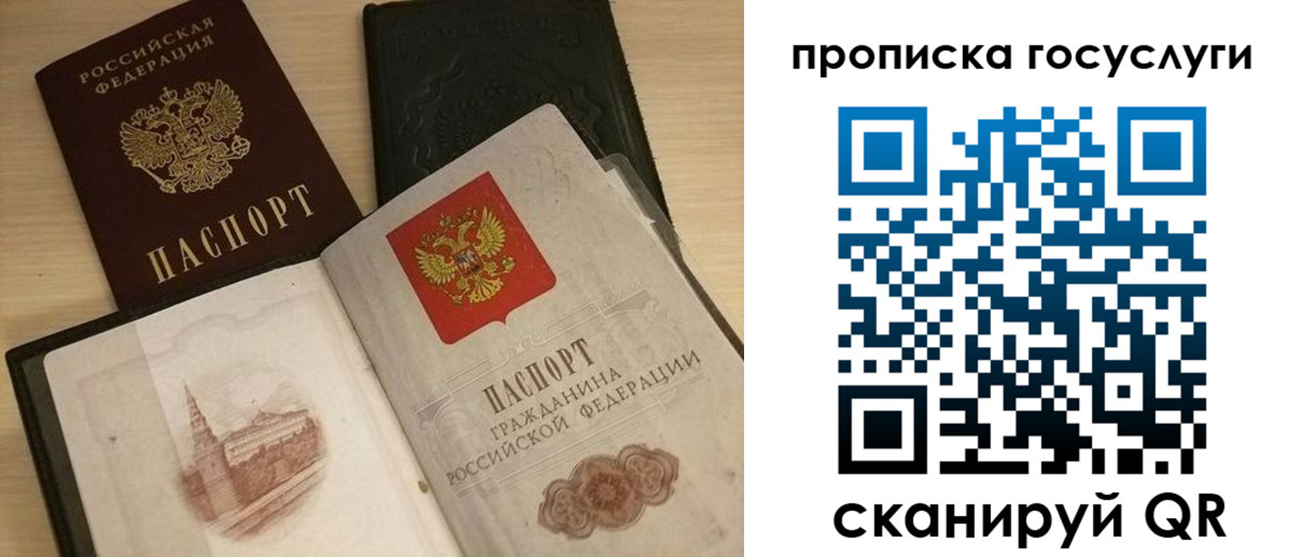 прописка иностранных граждан в Воронежской области